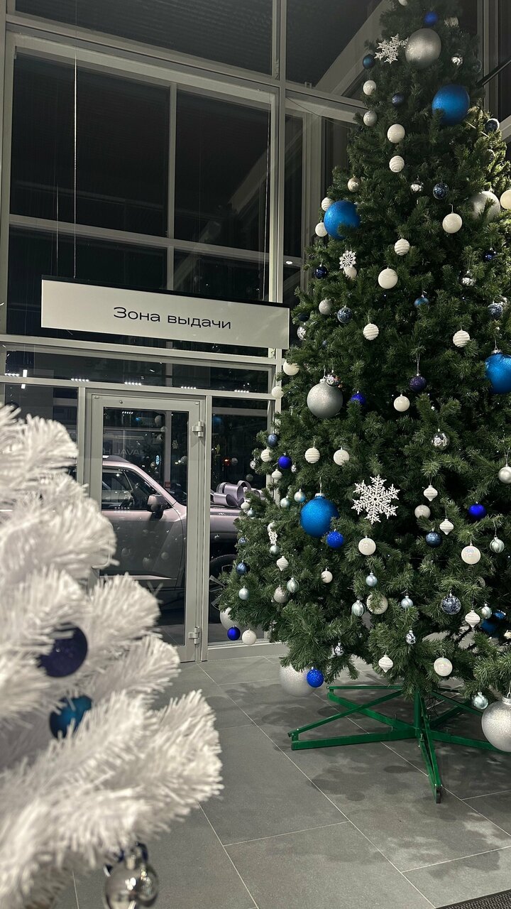 photo Haval Pro Рольф Пулково