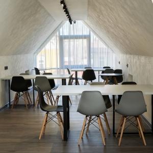 Фото Иркутский кедр