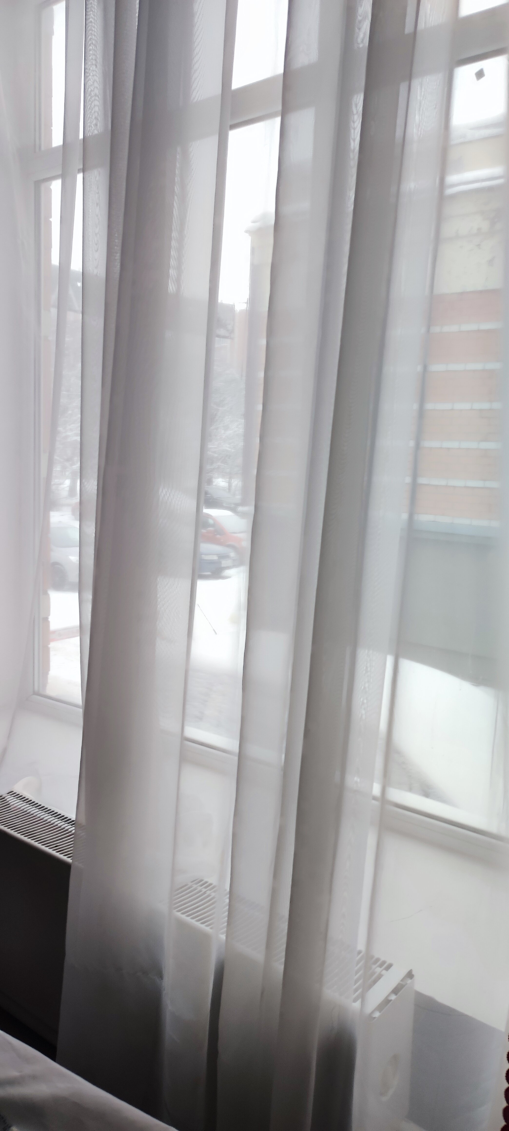 Фото Милани