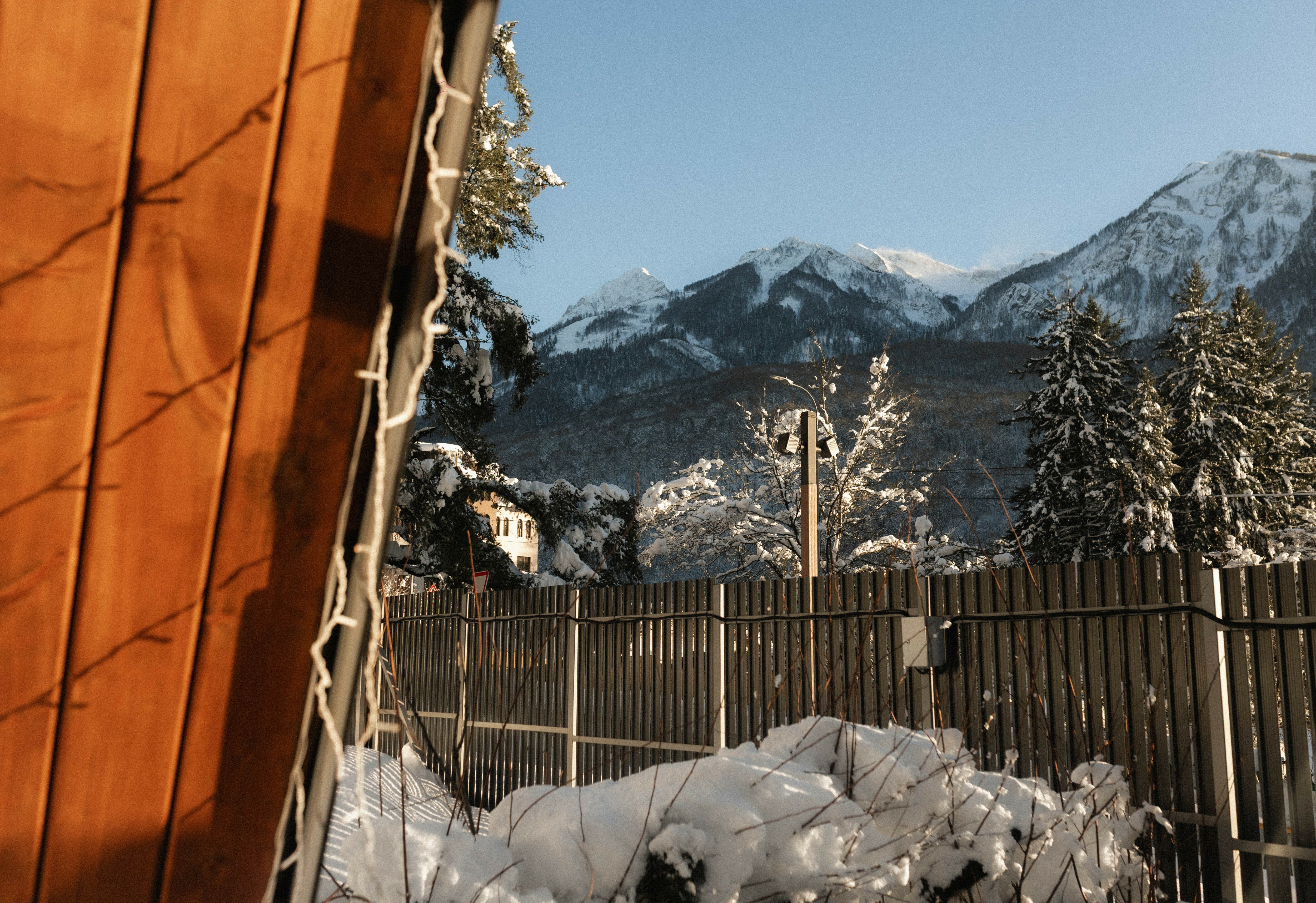 Фото Экосказка