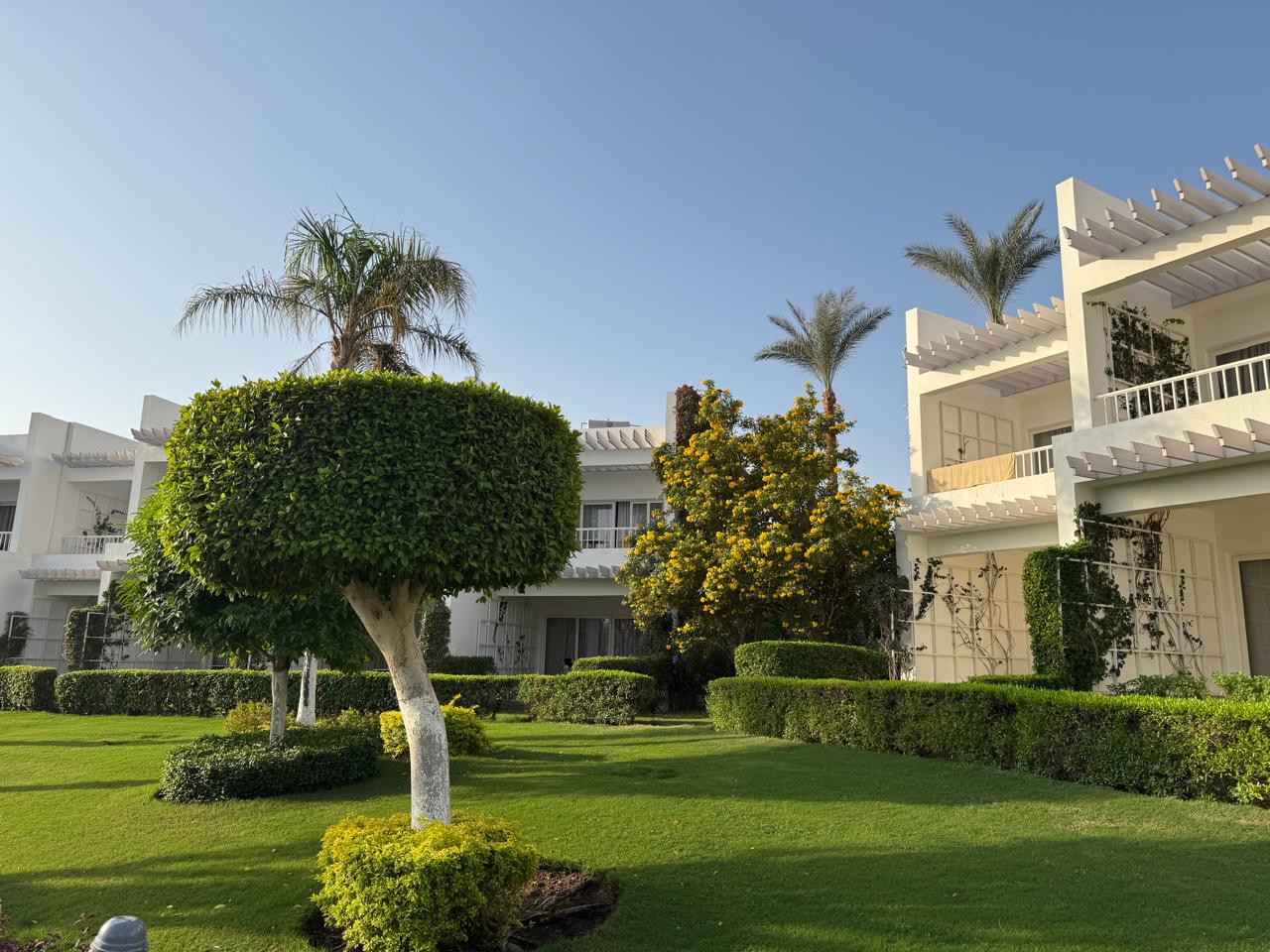 Фото Royal Monte Carlo Sharm El Sheikh - Adults only