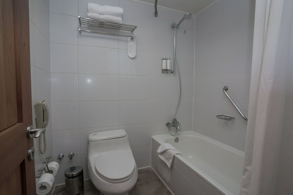 Фото Hotel Cumbres Puerto Varas