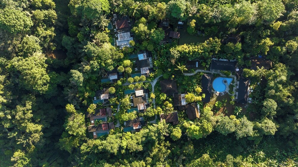 Фото 164162676469