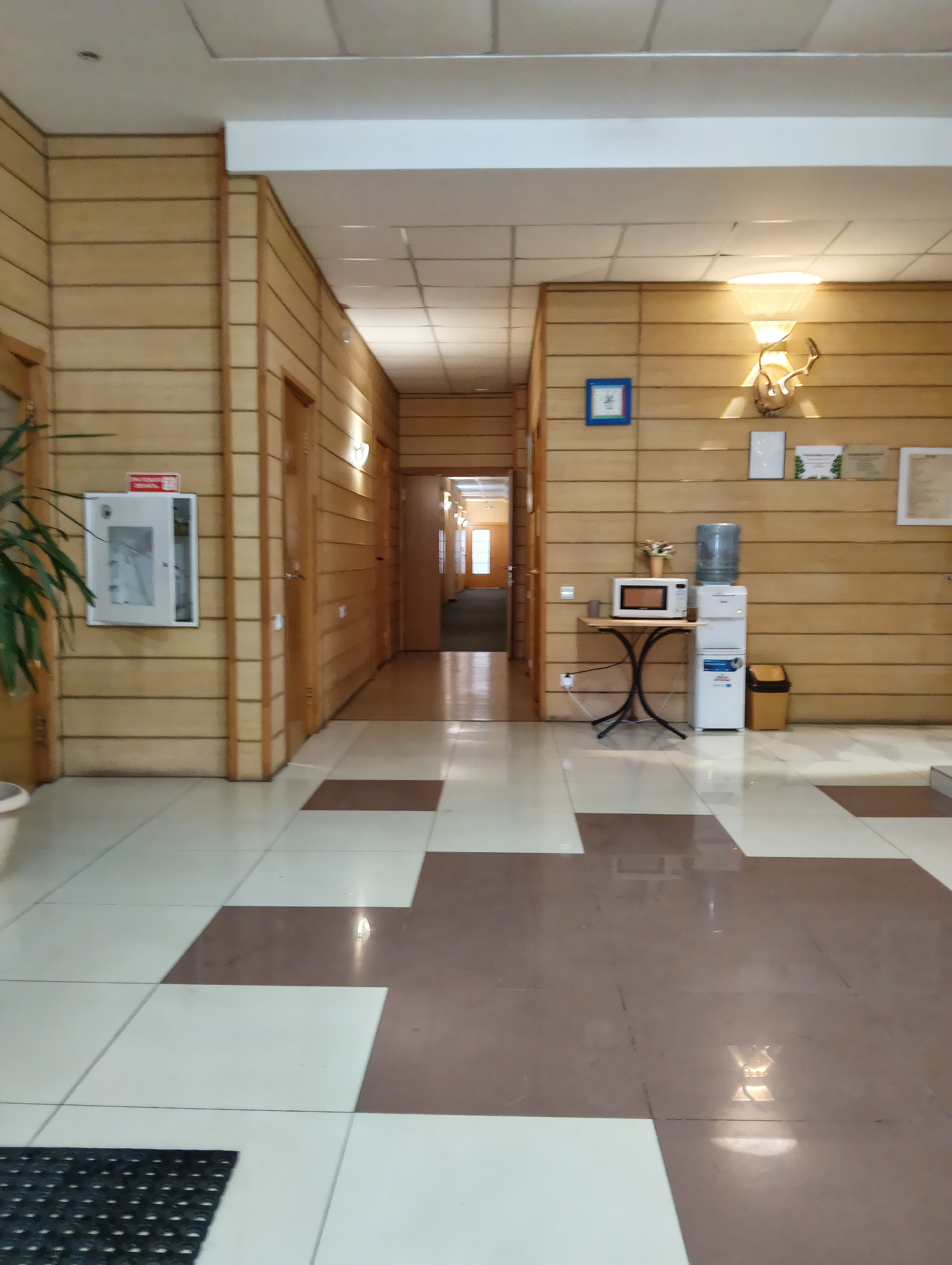 Фото Теремки