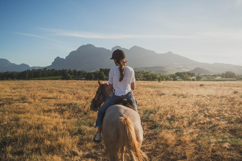 Фото Franschhoek Boutique Hotel