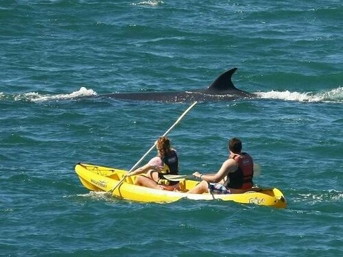 Внешний вид отеля On the Cliff Guest House в Муниципалитете Оверстранде, фото 5