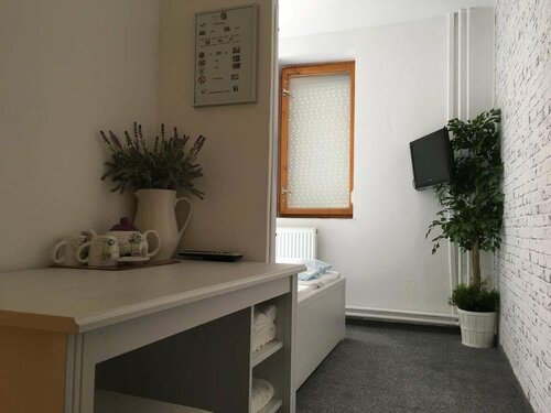 Гостиница Penzion Holiday в Трнавском крае