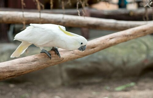 Гостиница Winds Boutique Hotel в Провинции Пампанга