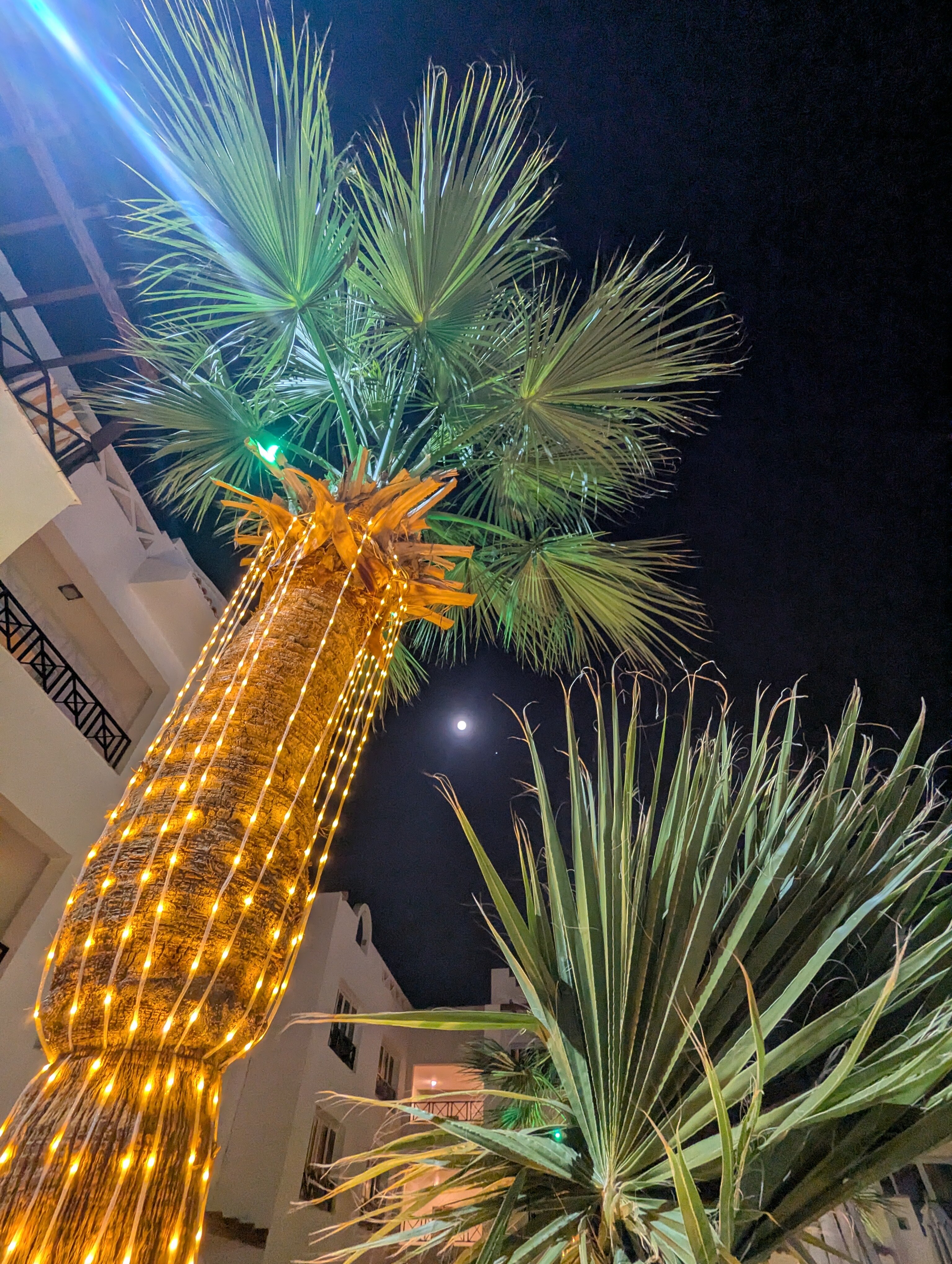 Фото Old Vic Sharm Resort