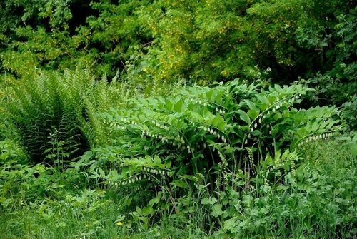 Гостиница Nästegården Bed & Breakfast в Линчёпинге