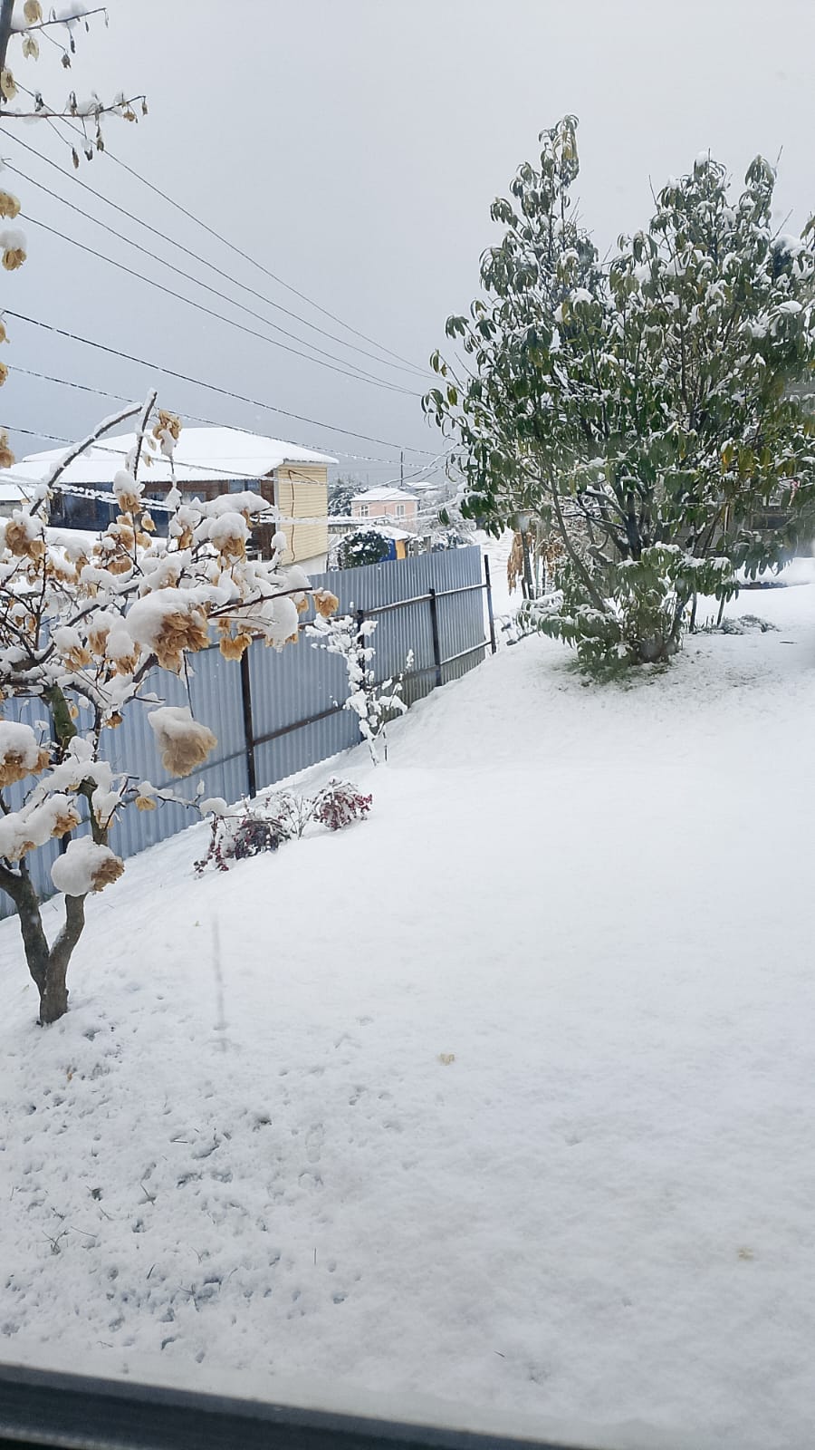 Фото Гостевой Дом на Топчян 17