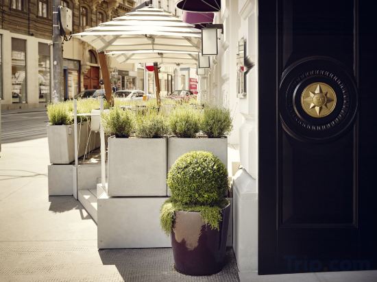 Фото Sans Souci Wien