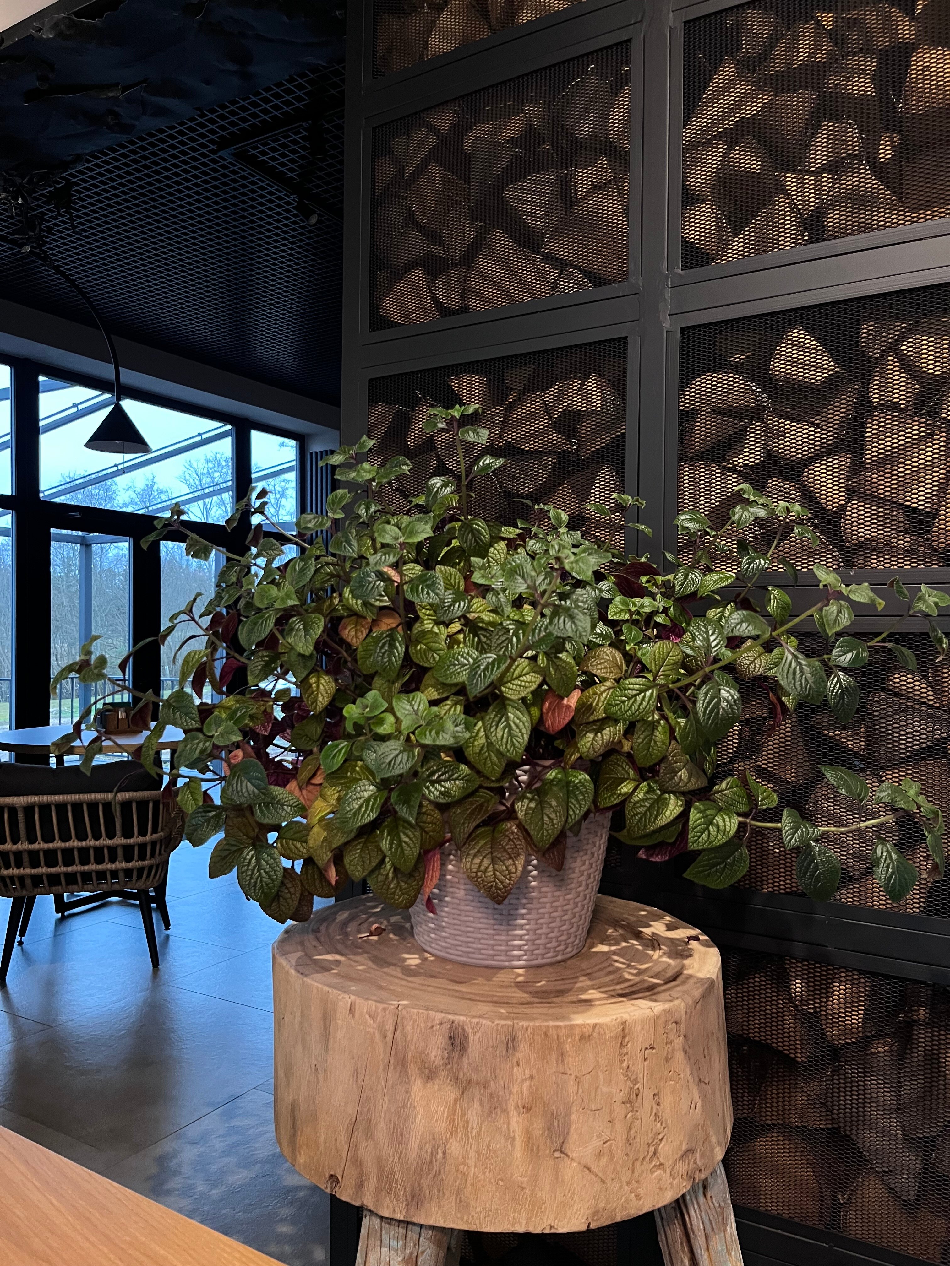 Фото Никольский Стан