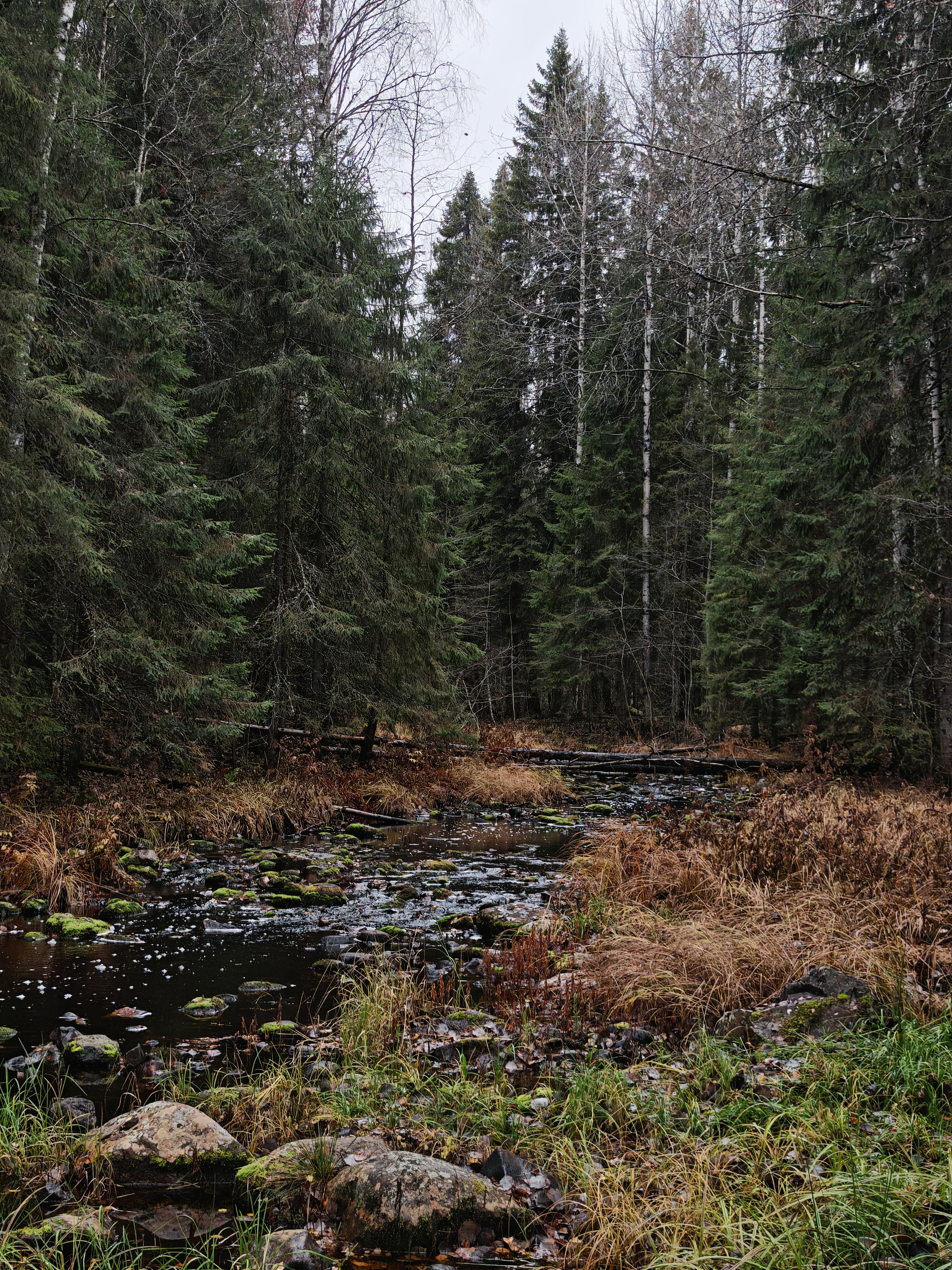 Фото Домик-Баня у речки Карелия