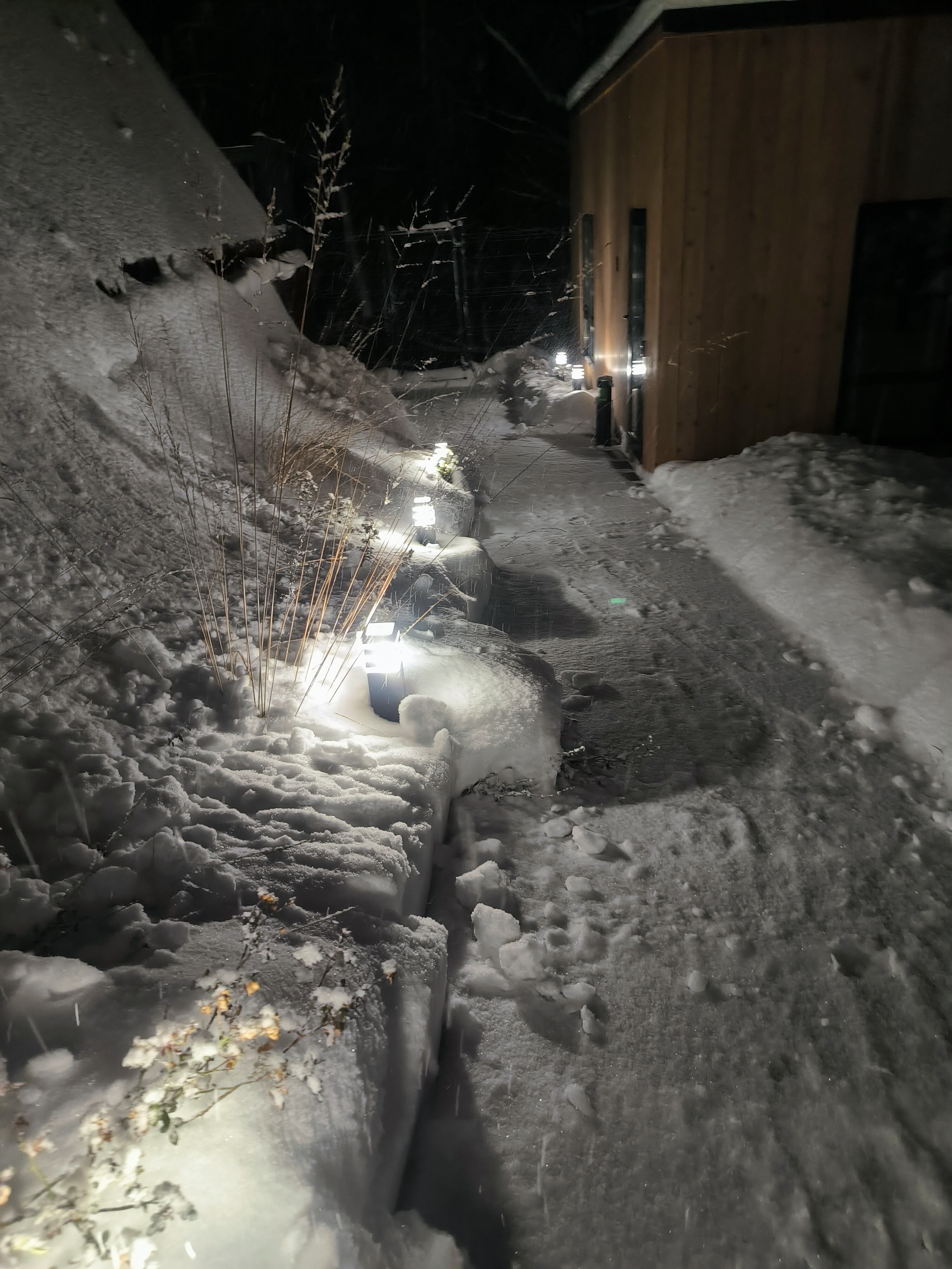 Фото Лесная Резиденция