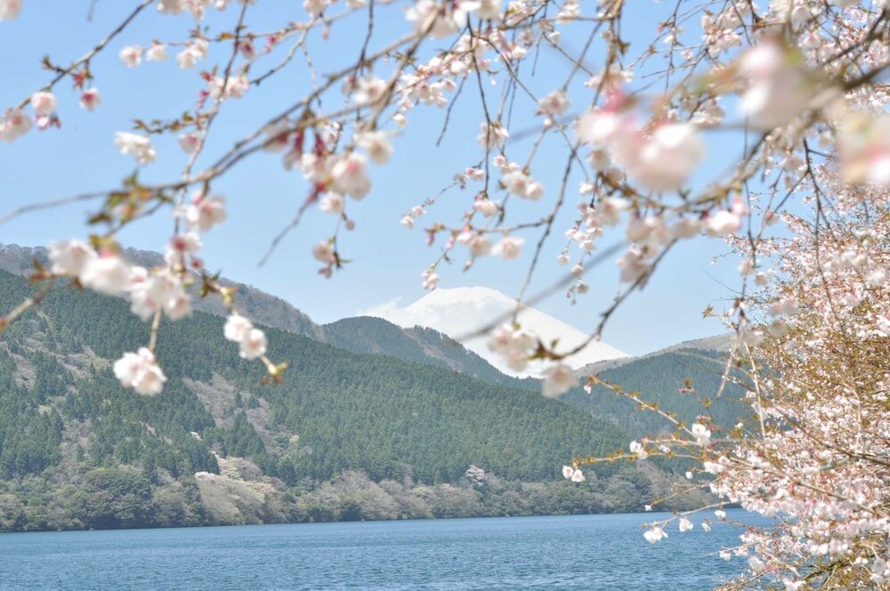 Фото The Prince Hakone Lake Ashinoko