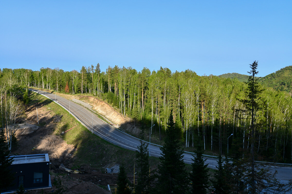 Фото Алтай Рестарт