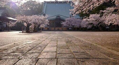 Внешний вид отеля Kamakura Park Hotel в Камакуре, фото 2