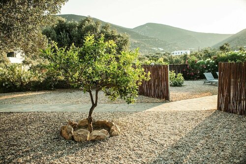 Внешний вид отеля Verina Terra в Платисе Гиалосе, фото 5