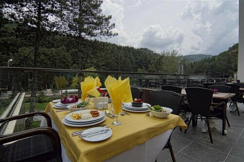Гостиница Çam Thermal Resort SPA Hotel в Гереде