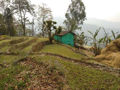 Гостиница PaliGhar Farmstay в Западной Бенгалии