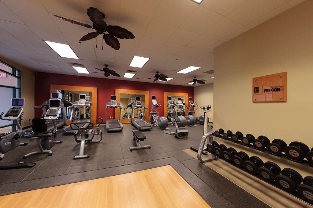 Фото Embassy Suites by Hilton Dallas Dfw Airport North