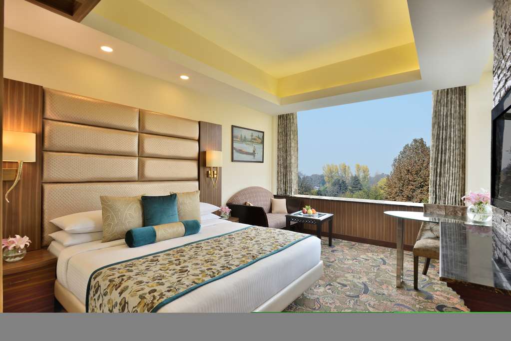 Фото Radisson Srinagar