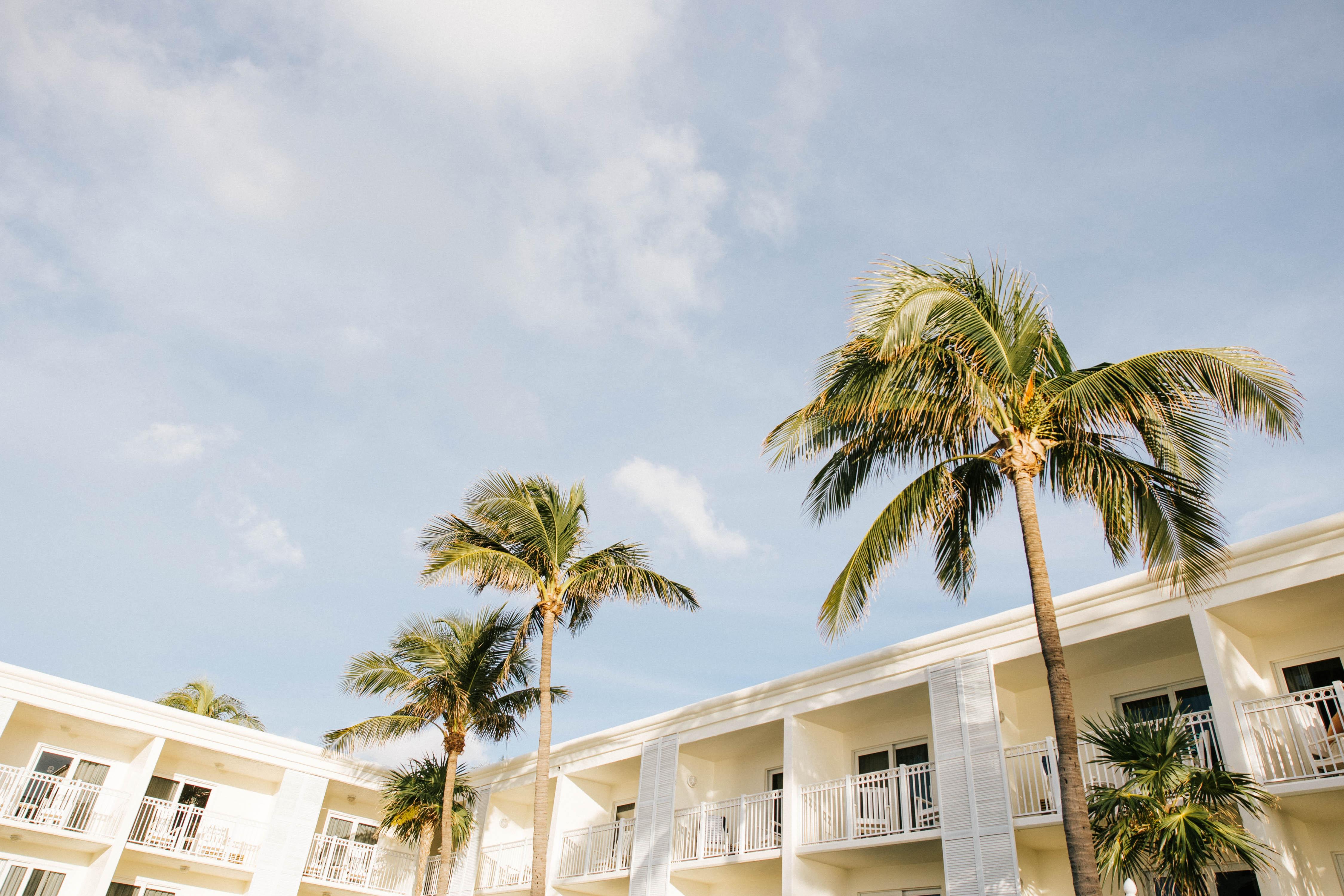 Фото Delray Sands Resort