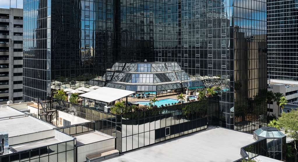 Фото Hilton Tampa Downtown