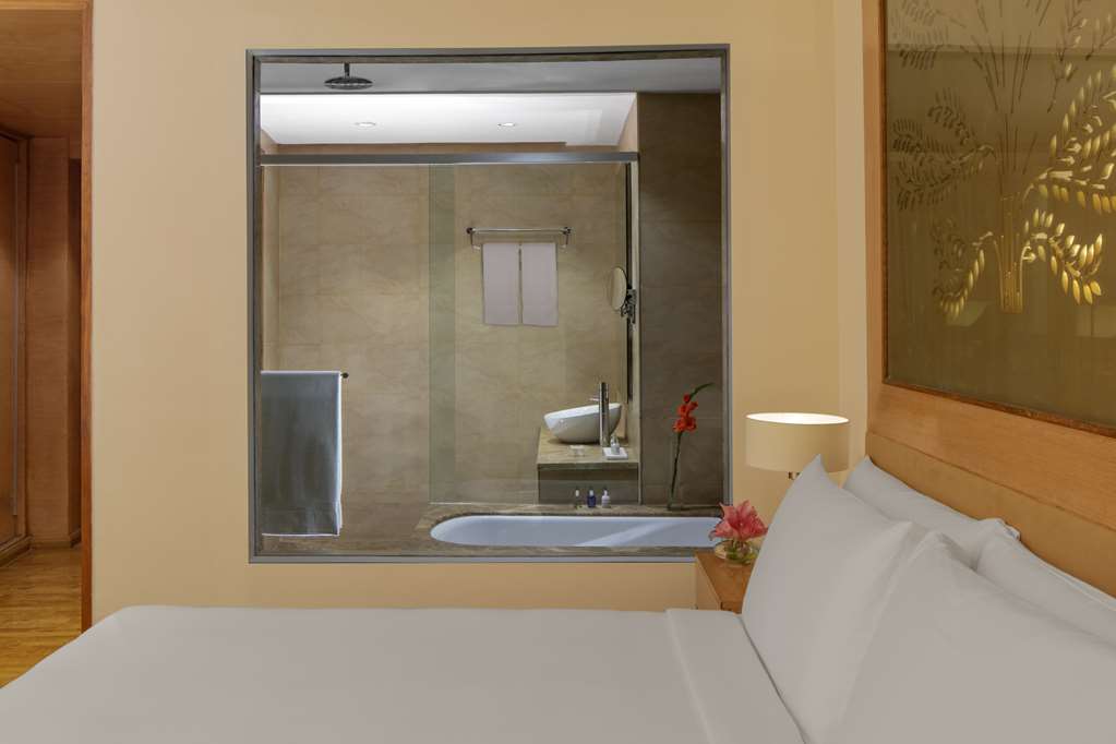 Фото Radisson Blu Hotel, New Delhi Dwarka