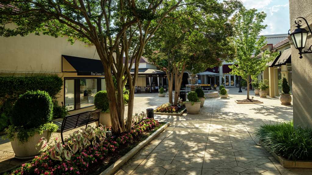 Фото DoubleTree Suites by Hilton Hotel Charlotte - SouthPark