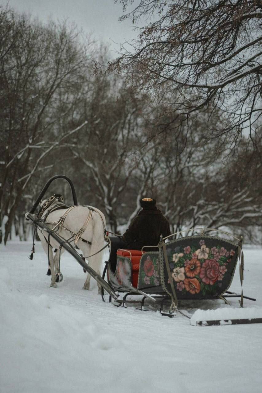 Фото Берта
