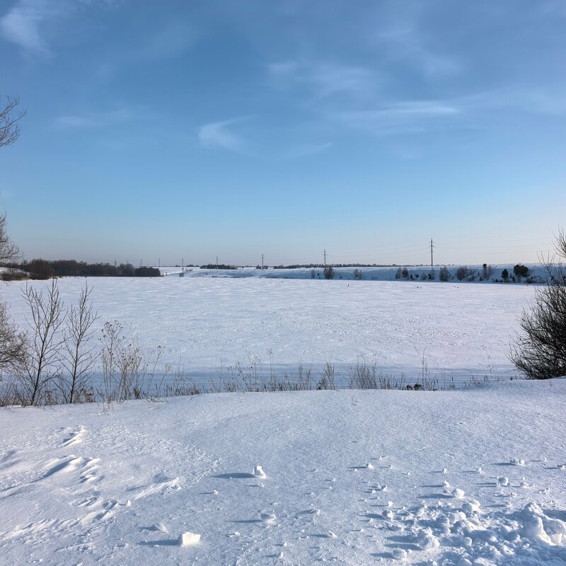 Золотая Рыбка — фото 39
