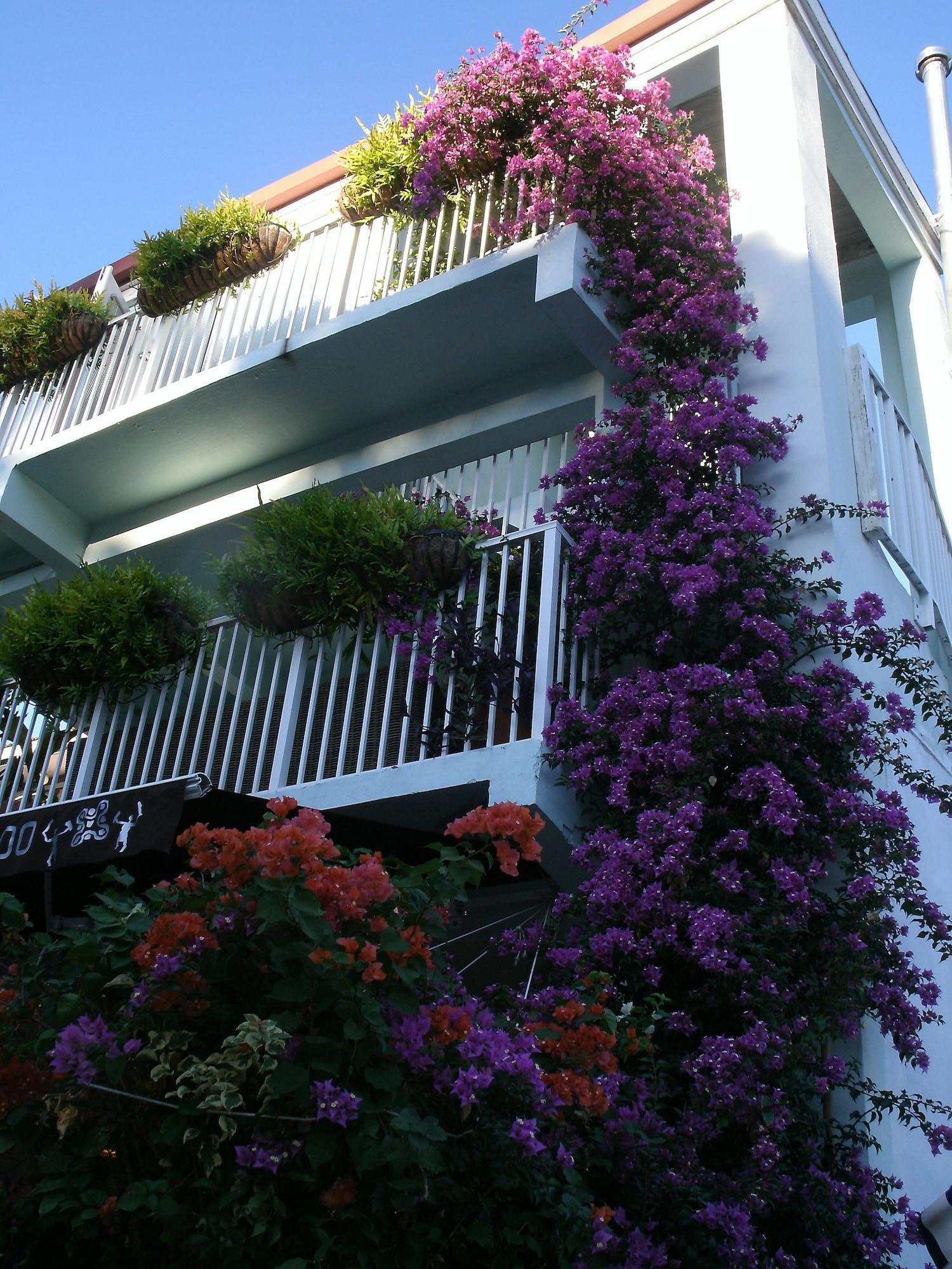 Фото Cruz Bay Boutique Hotel