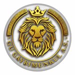 Gu Real Estate (Ankara Province, Dumlupinar Boulevard, 3C), real estate development