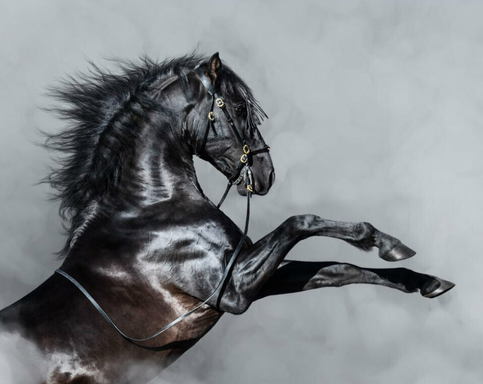 Legal services Inter, Moscow, photo