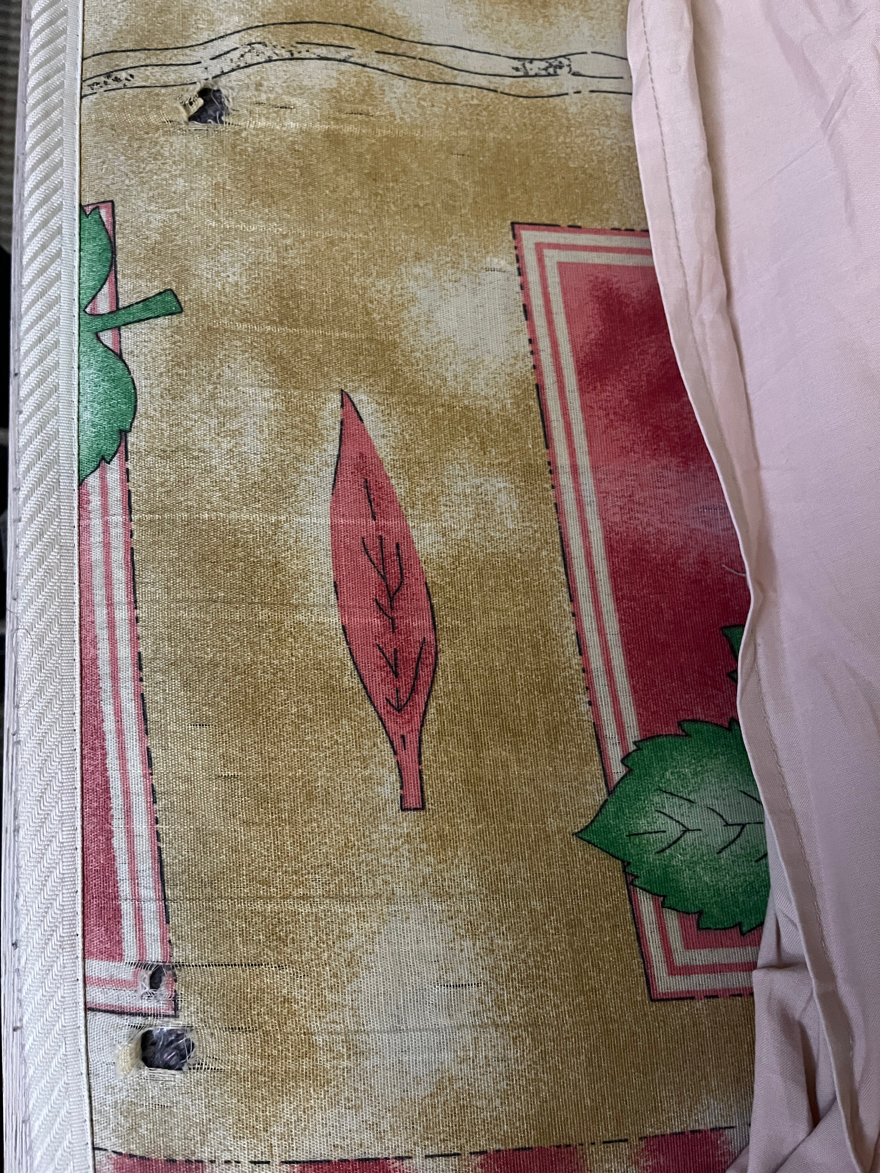 Фото Алания