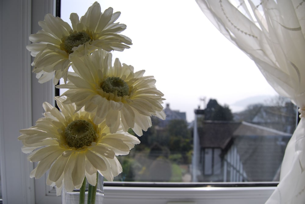 Фото Tudor Court Hotel