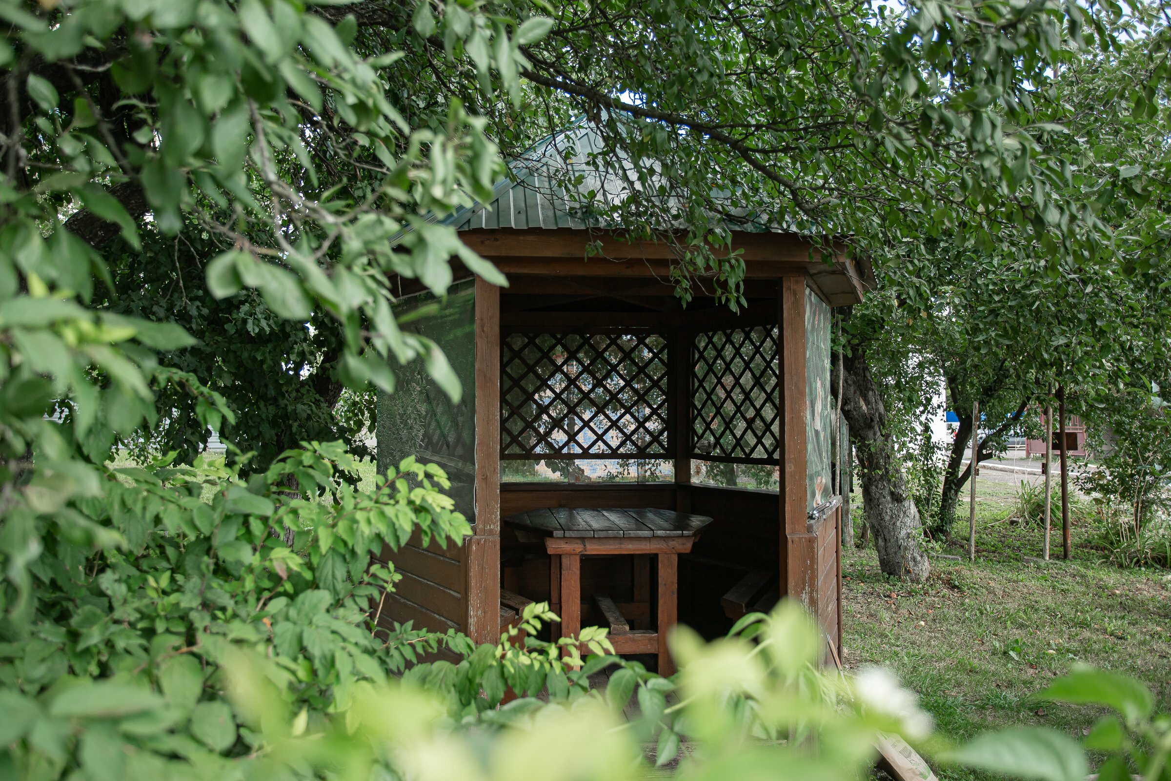 Фото Кузнечик