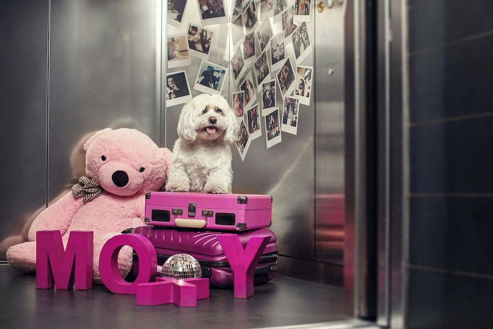 Фото Moxy Tbilisi by Marriott