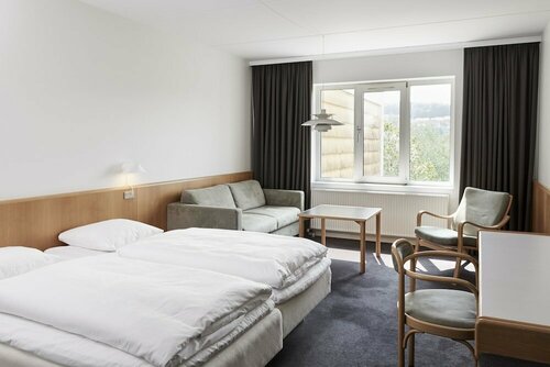 Гостиница Vejle Center Hotel в Вайле