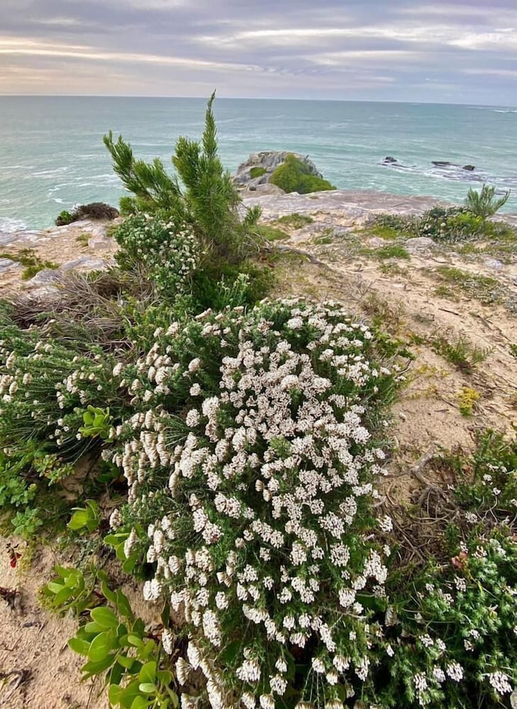 Фото BlueSky Guest House Arniston