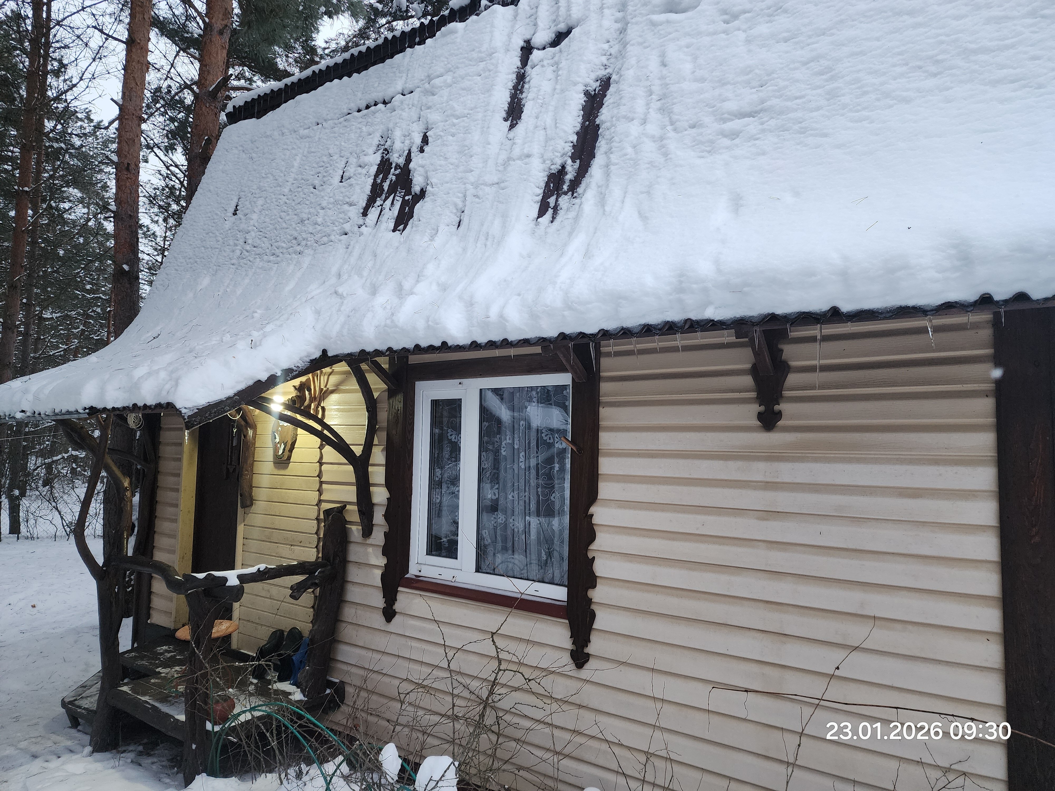 Фото Гнездо аиста