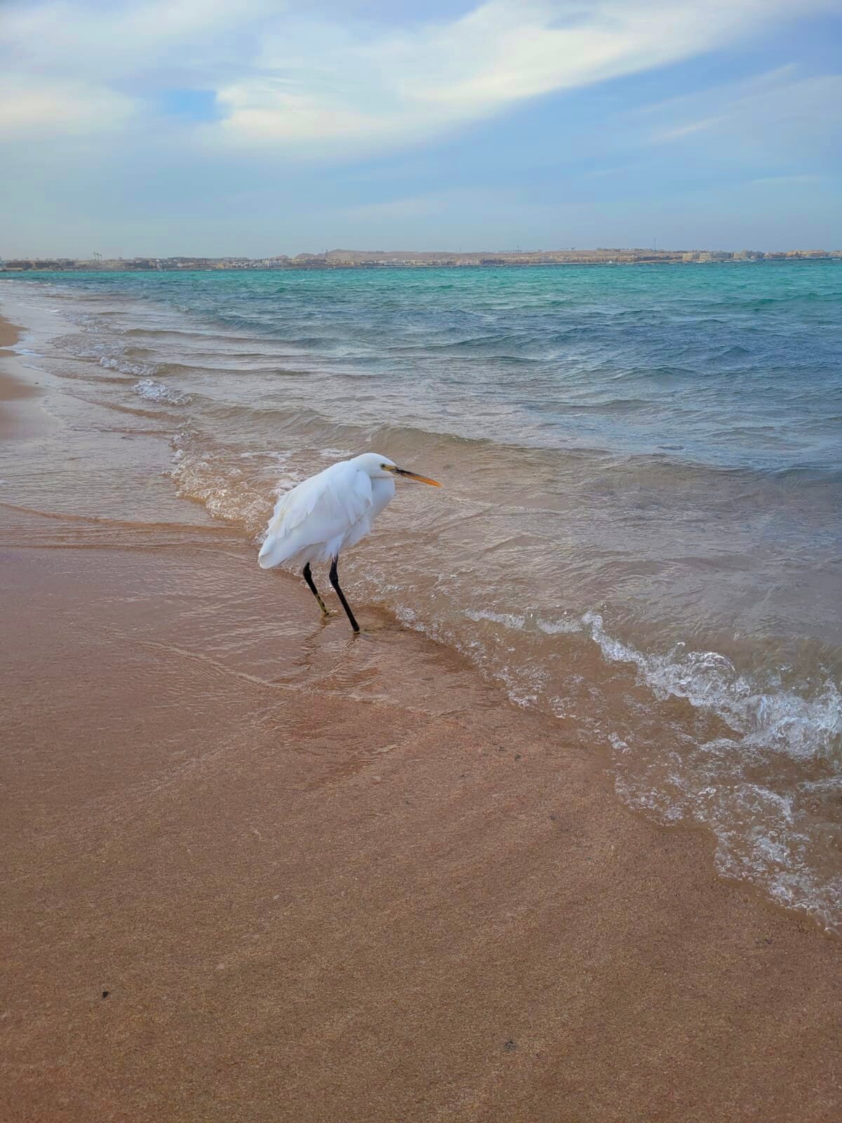 Фото Tropitel Sahl Hasheesh