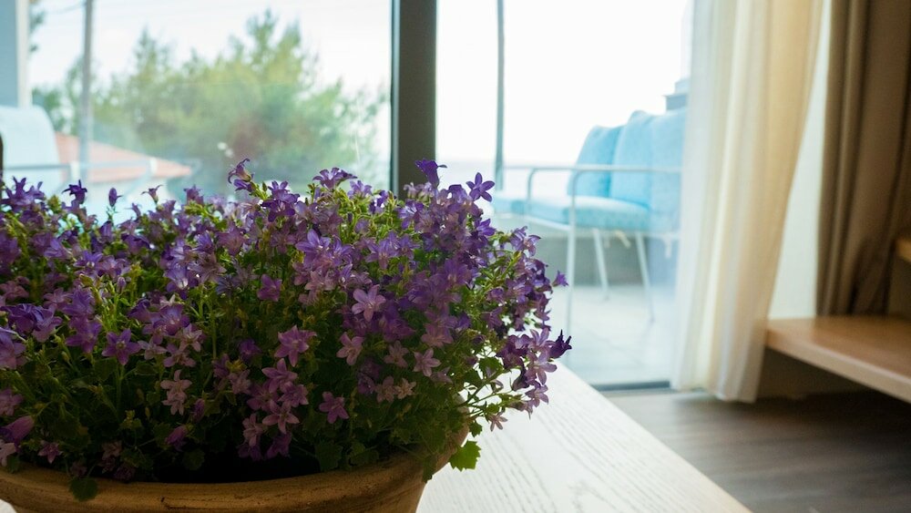 Costa Domus Blue - 13