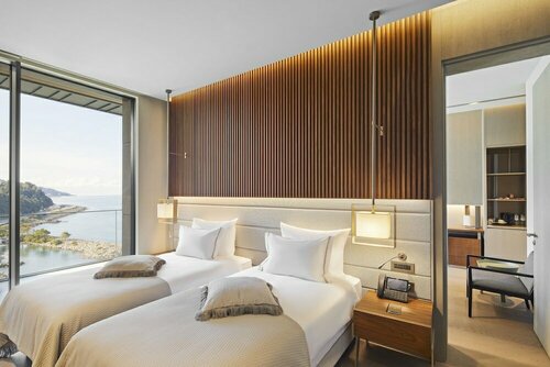 Гостиница Ricosta Hotel в Дерепазары