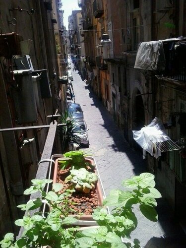 La Casa Di Roselin