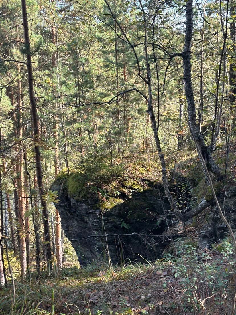 Фото Санаторий-профилакторий Дюжонок