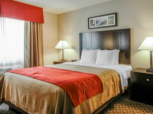 Гостиница Comfort Inn Troutdale - Portland East в Грешаме