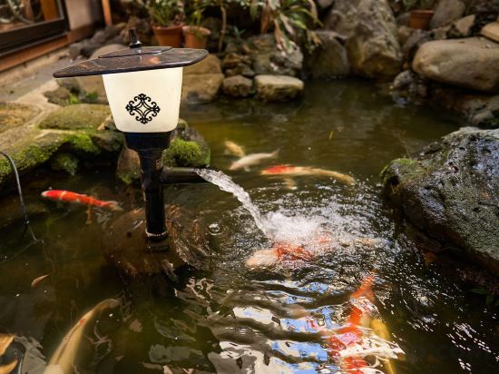 Фото Kinosaki Onsen Shinonomesou